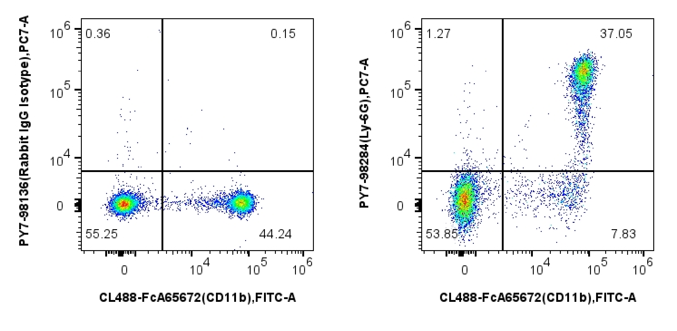 1x10^6 mouse bone marrow cells were surface stained with FcZero-rAb™ CoraLite® Plus 488 Anti-Mouse CD11b (M1/70), and 0.1 ug PE-Cyanine7 Anti-Mouse Ly-6G Rabbit RecAb (PY7-98284, Clone: 242141B11) or  PE-Cyanine7 Rabbit IgG Isotype Control Recombinant Antibody (PY7-98136, Clone: 240953C9). Cells were incubated with MonoZero™ Monocytes blocking Reagent (PF00020) prior to staining. Cells were not fixed.