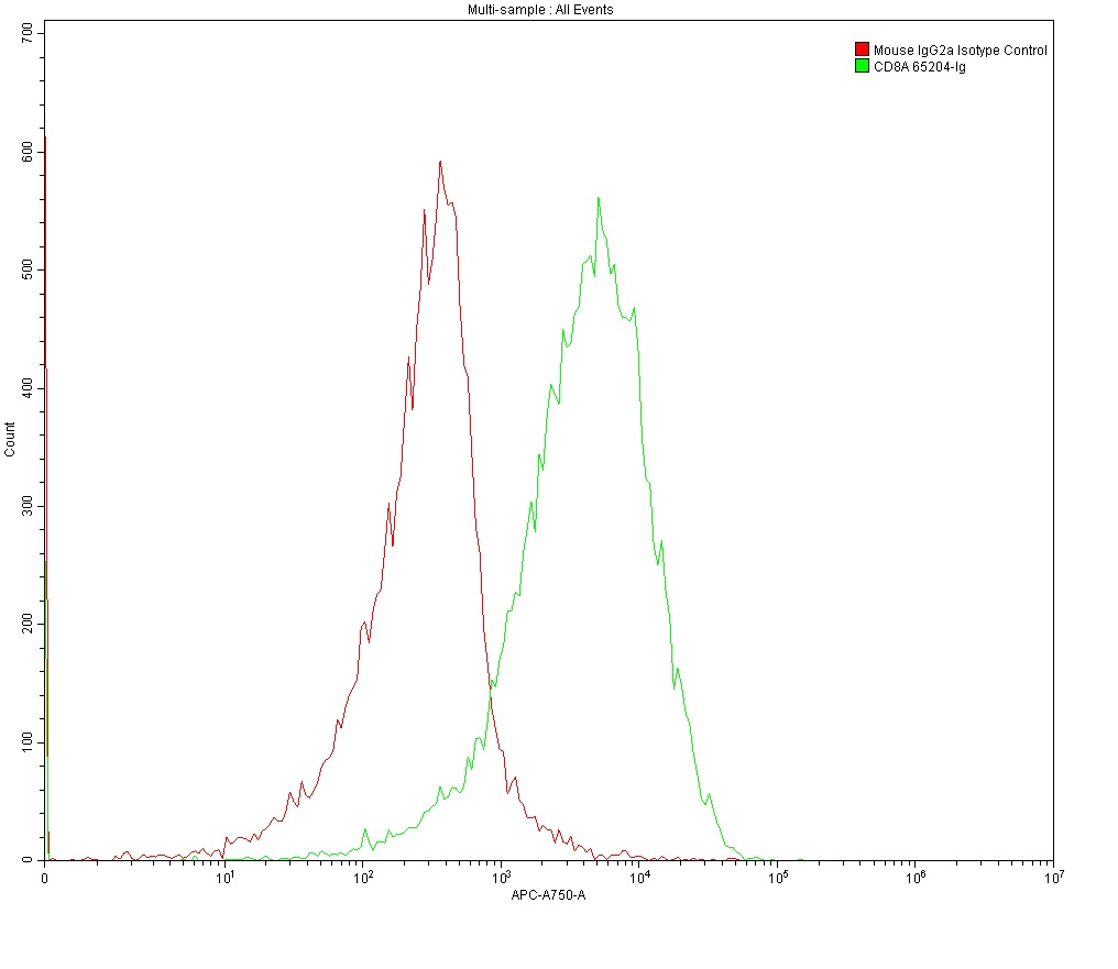 1X10^6 MOLT4 were surface stained with 0.2 ug Anti-Human CD8 (65204-1-Ig, Clone: UCHT4) and Mouse IgG2a Isotype Control 66360-2-Ig. Multi-rAb CoraLite® Plus 647-Goat Anti-Mouse Recombinant Secondary Antibody (H+L) RGAM006 was used at 1:500 for detection.