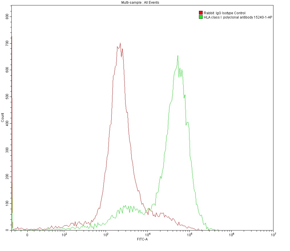 1X10^6 MOLT4 were surface stained with 0.2 ug Anti-HLA class I rabbit polyclonal antibody (15240-1-AP) and Rabbit IgG Isotype Control 30000-0-AP. Multi-rAb CoraLite® Plus 488-Goat Anti-Rabbit Recombinant Secondary Antibody (H+L) RGAR002 was used at 1:500 for detection.