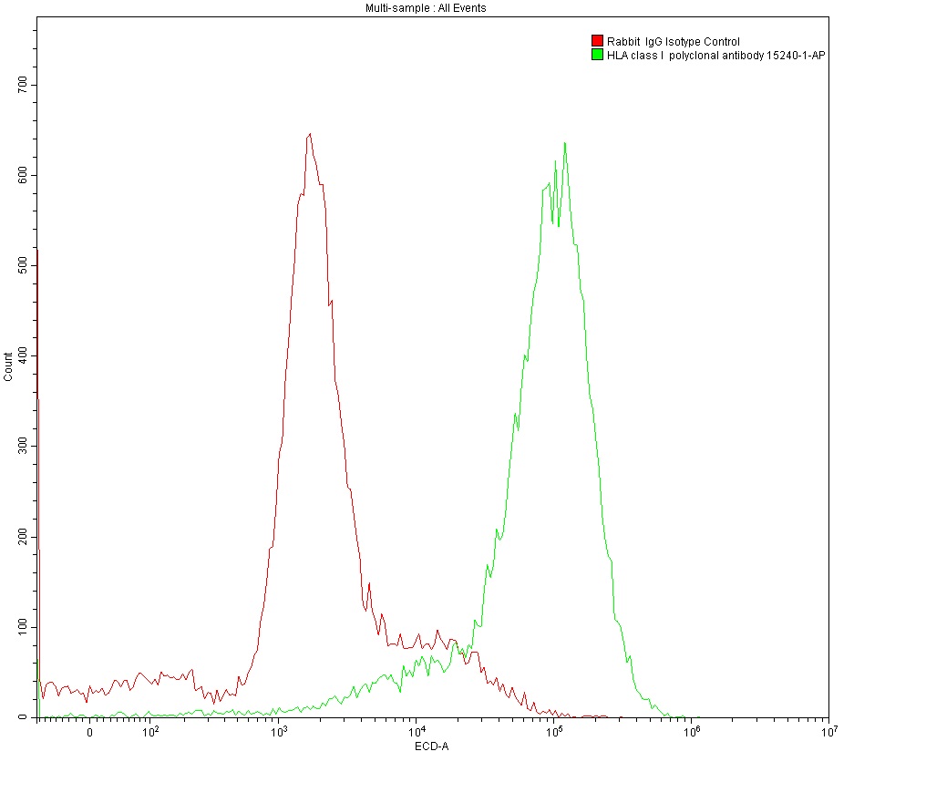1X10^6 MOLT4 were surface stained with 0.2 ug Anti-HLA class I rabbit polyclonal antibody (15240-1-AP) and Rabbit IgG Isotype Control 30000-0-AP. Multi-rAb™ CoraLite® Plus 594-Goat Anti-Rabbit Recombinant Secondary Antibody (H+L) RGAR004 was used at 1:500 for detection.