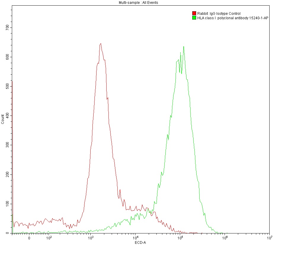 1X10^6 MOLT4 were surface stained with 0.2 ug Anti-HLA class I rabbit polyclonal antibody (15240-1-AP) and Rabbit IgG Isotype Control 30000-0-AP. Multi-rAb CoraLite® Plus 594-Goat Anti-Rabbit Recombinant Secondary Antibody (H+L) RGAR004 was used at 1:500 for detection.