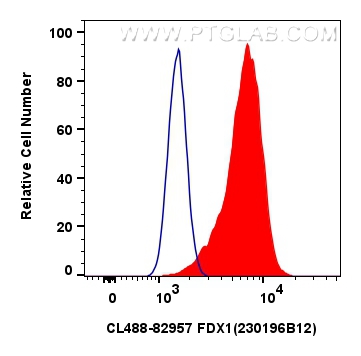 FC experiment of A431 using CL488-82957