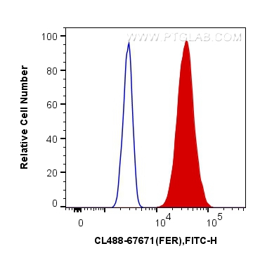 FC experiment of HeLa using CL488-67671