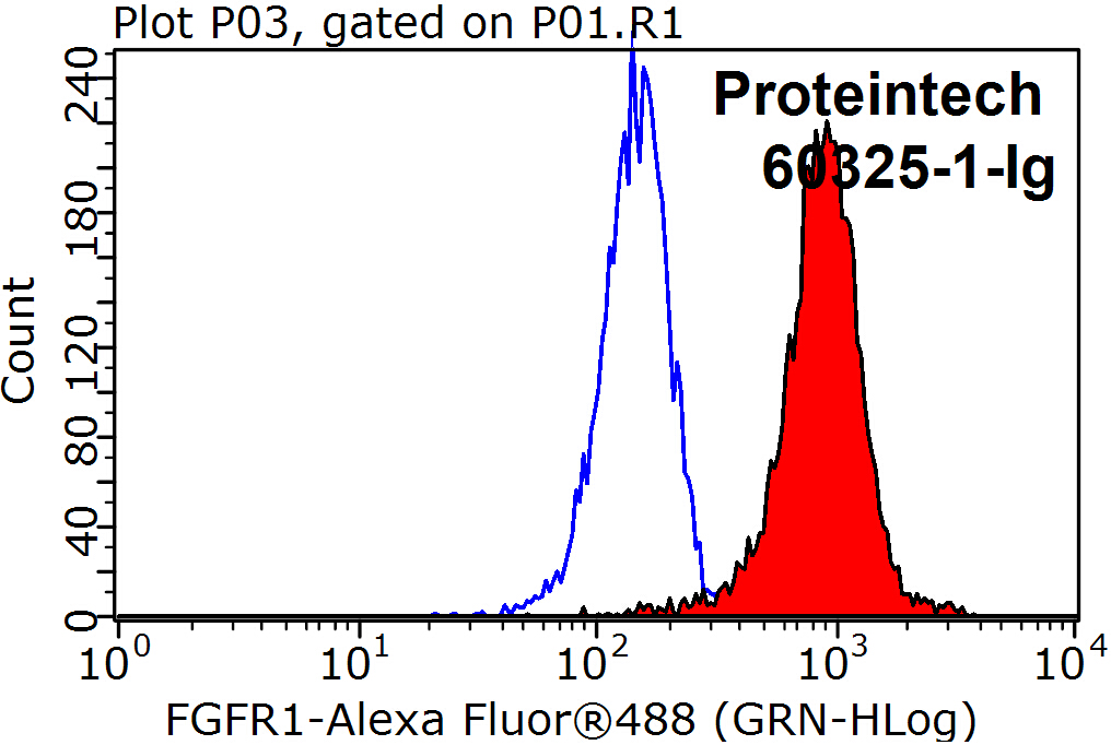 FC experiment of K-562 using 60325-1-Ig