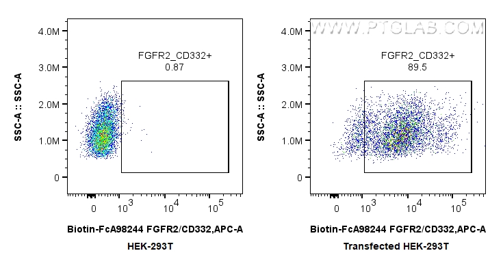 FC experiment of Transfected HEK-293T using Biotin-FcA98244 FC experiment of Transfected HEK-293T using Biotin-FcA98244