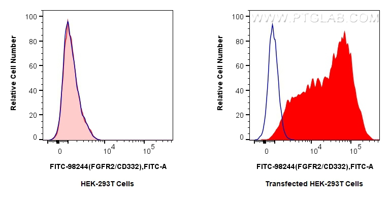FC experiment of Transfected HEK-293T using FITC-98244