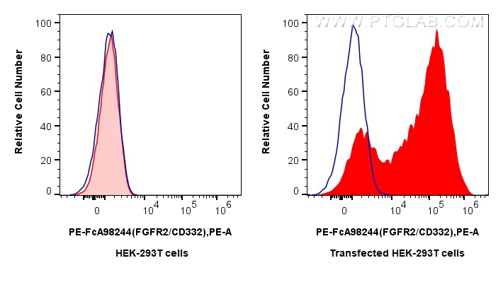 FC experiment of Transfected HEK-293T using PE-FcA98244 FC experiment of Transfected HEK-293T using PE-FcA98244