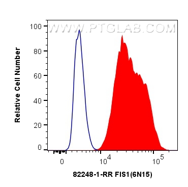 FC experiment of HepG2 using 82248-1-RR (same clone as 82248-1-PBS)