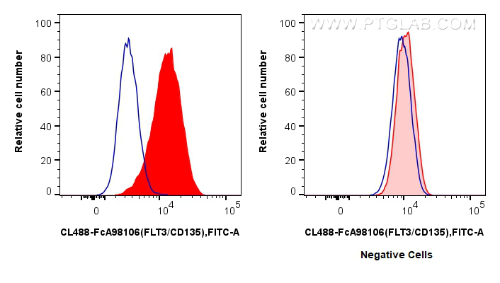 FC experiment of Reh using CL488-FcA98106 FC experiment of Reh using CL488-FcA98106