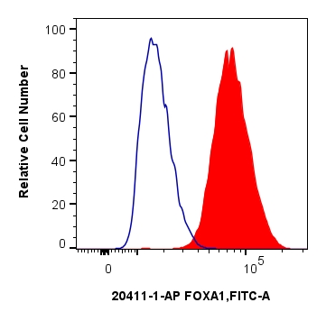 1x10^6 HepG2 cells were intracellularly stained with 0.25 ug FOXA1 Polyclonal antibody (20411-1-AP) and CoraLite®488-Conjugated Goat Anti-Rabbit IgG(H+L) (<a class='green' href='/productredirect?CatalogNo=SA00013-2' target='_blank'>SA00013-2</a>)(red),  or 0.25 ug Isotype Control (blue). Cells were fixed and permeabilized with Transcription Factor Staining Buffer Kit (<a class='green' href='/productredirect?CatalogNo=PF00011' target='_blank'>PF00011</a>). FC experiment of HepG2 using 20411-1-AP