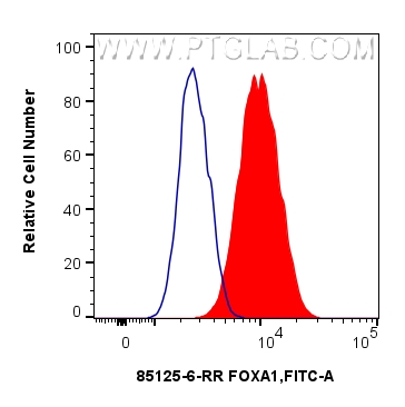 1x10^6 HepG2 cells were intracellularly stained with 0.25 ug FOXA1 Recombinant monoclonal antibody (85125-6-RR, Clone:242658F9) and CoraLite®488-Conjugated Goat Anti-Rabbit IgG(H+L) (<a class='green' href='/productredirect?CatalogNo=SA00013-2' target='_blank'>SA00013-2</a>)(red), or 0.25 ug Rabbit IgG Isotype Control RecAb (<a class='green' href='/productredirect?CatalogNo=98136-1-RR' target='_blank'>98136-1-RR</a>, Clone: 240953C9) (blue). Cells were fixed and permeabilized with Transcription Factor Staining Buffer Kit (<a class='green' href='/productredirect?CatalogNo=PF00011' target='_blank'>PF00011</a>). FC experiment of HepG2 using 85125-6-RR