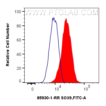 FC experiment of U251 using 85930-1-RR