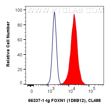 FC experiment of A549 using 66337-1-Ig