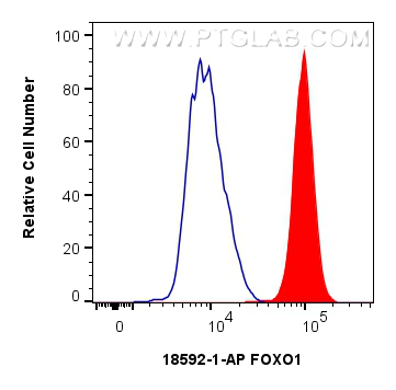 FC experiment of Daudi using 18592-1-AP (same clone as 18592-1-PBS)