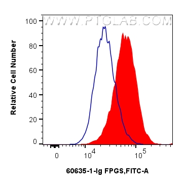 FC experiment of HeLa using 60635-1-Ig FC experiment of HeLa using 60635-1-Ig