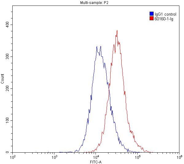 FC experiment of K-562 using 60160-1-Ig