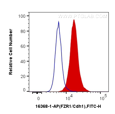 FC experiment of HeLa using 16368-1-AP