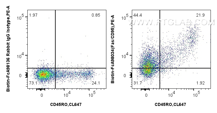 1x10^6 human PBMCs were surface stained with 0.25 ug Biotin Anti-Human Fas/CD95 Rabbit RecAb (Biotin-FcA98034, Clone: 240340E11) and PE Streptavidin (Cat.No. <a class='green' href='/productredirect?CatalogNo=PF00021' target='_blank'>PF00021</a>), or FcZero-rAb™ Biotin Rabbit IgG Isotype Control Recombinant Antibody (<a class='green' href='/productredirect?CatalogNo=Biotin-FcA98136' target='_blank'>Biotin-FcA98136</a>, Clone: 240953C9) and PE Streptavidin(Cat.No. <a class='green' href='/productredirect?CatalogNo=PF00021' target='_blank'>PF00021</a>). Cells were co-stained with CoraLite® Plus 647 Anti-Human CD45RO (UCHL1) (<a class='green' href='/productredirect?CatalogNo=CL647-65150' target='_blank'>CL647-65150</a>, Clone: UCHL1). Cells were not fixed. Lymphocytes were gated. FC experiment of human PBMCs using Biotin-FcA98034
