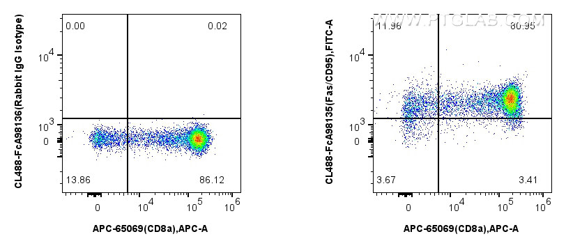 FC experiment of mouse thymocytes using CL488-FcA98135 FC experiment of mouse thymocytes using CL488-FcA98135