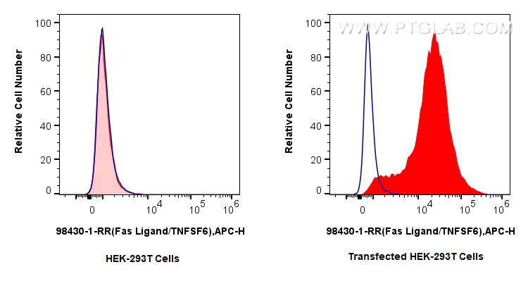 FC experiment of Transfected HEK-293T using 98430-1-RR (same clone as 98430-1-PBS)