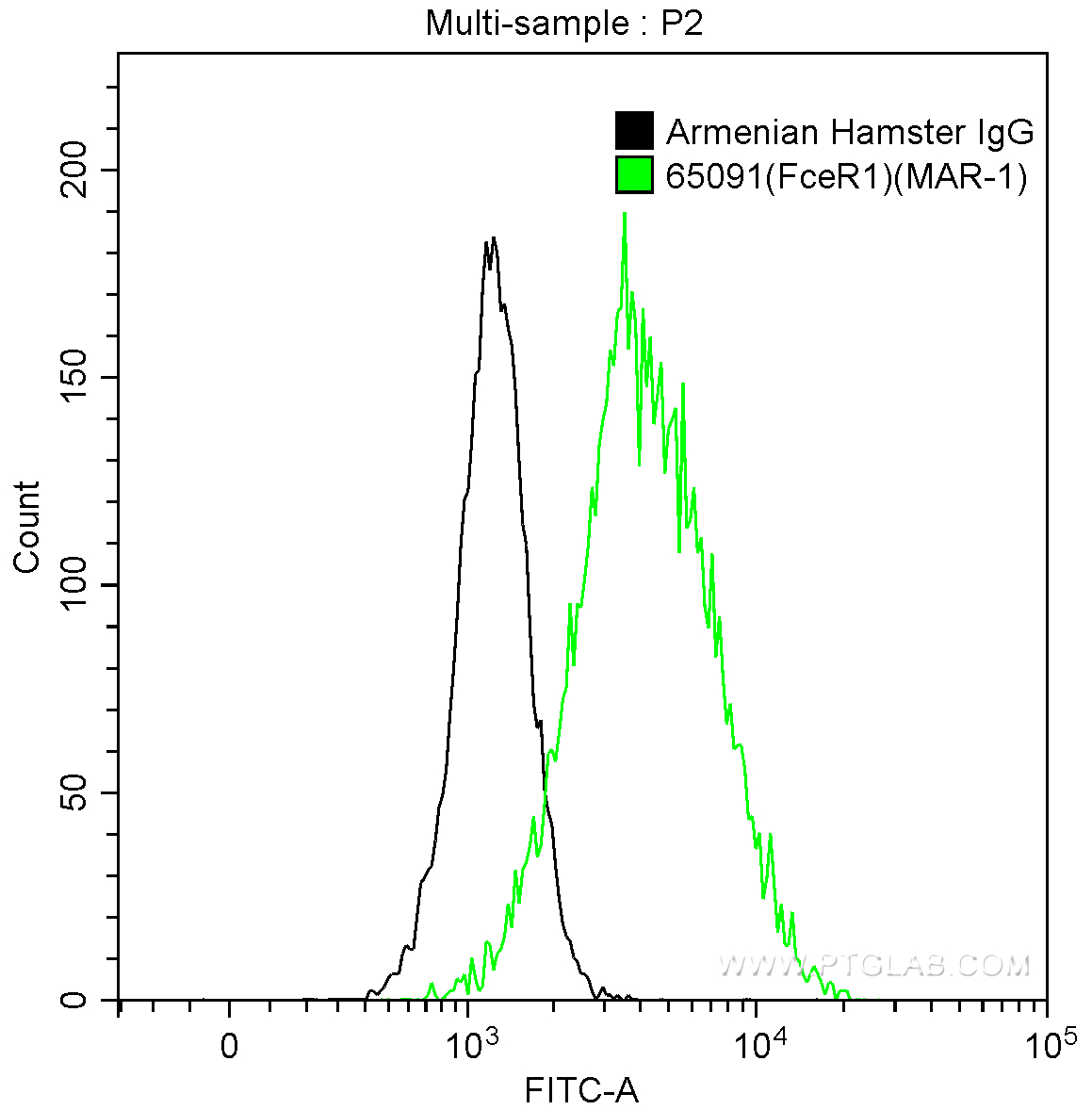 FC experiment of MC/9 using 65091-1-Ig