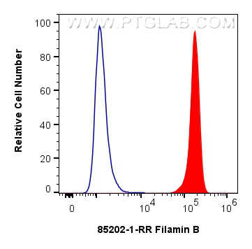 FC experiment of HEK-293T using 85202-1-RR (same clone as 85202-1-PBS)