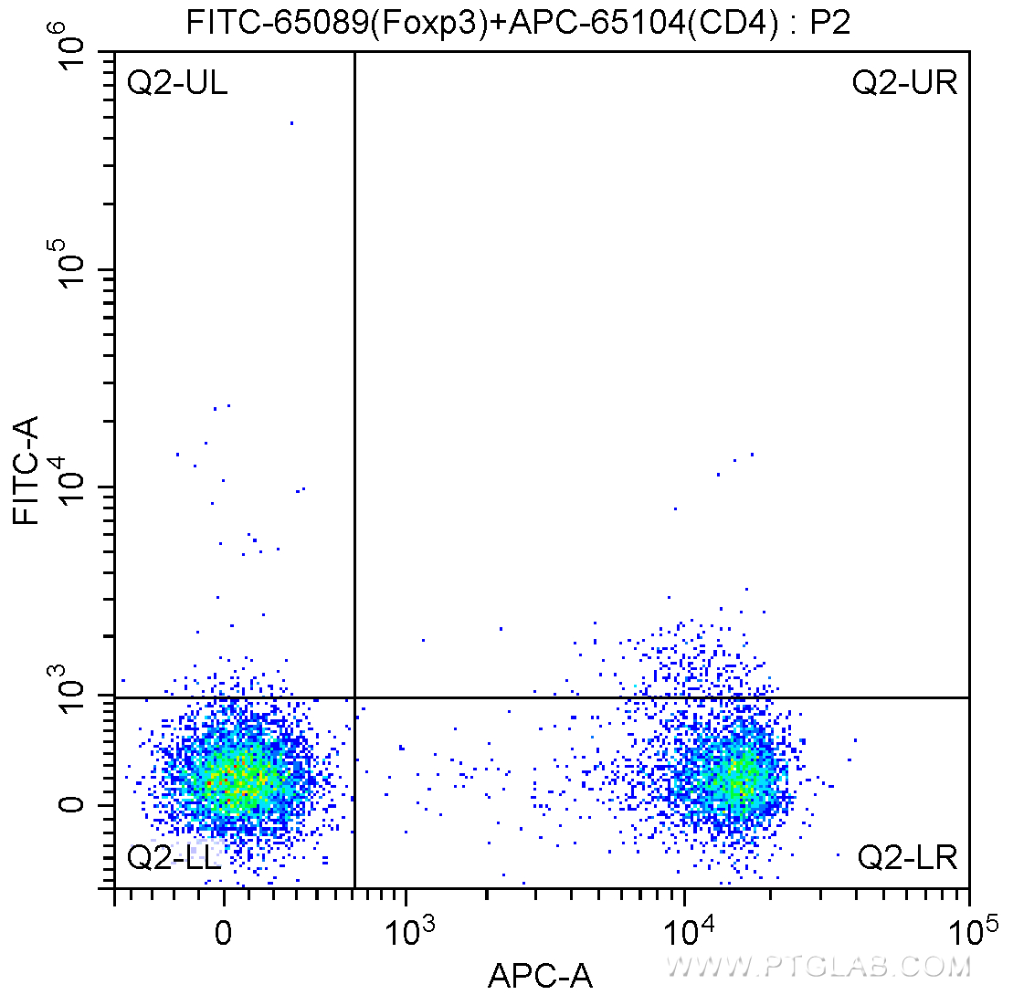 FC experiment of mouse splenocytes using FITC-65089