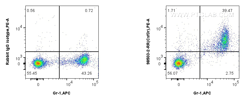 FC experiment of mouse bone marrow cells using 98503-2-RR (same clone as 98503-2-PBS) FC experiment of mouse bone marrow cells using 98503-2-RR (same clone as 98503-2-PBS)