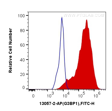 FC experiment of HeLa using 13057-2-AP