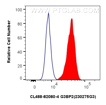 FC experiment of U-2 OS using CL488-82080-4