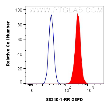 1x10^6 HeLa cells were intracellularly stained with 0.25 ug G6PD Recombinant monoclonal antibody (86240-1-RR, Clone:250831F8) and CoraLite®488-Conjugated Goat Anti-Rabbit IgG(H+L) (<a class='green' href='/productredirect?CatalogNo=SA00013-2' target='_blank'>SA00013-2</a>)(red), or 0.25 ug Isotype Control (blue). Cells were fixed and permeabilized with Intracellular Flow Cytometry Fixation & Permeabilization Buffer Kit (<a class='green' href='/productredirect?CatalogNo=PF00019' target='_blank'>PF00019</a>). FC experiment of HeLa using 86240-1-RR