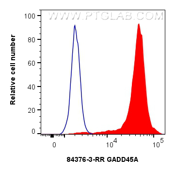 FC experiment of K-562 using 84376-3-RR (same clone as 84376-3-PBS)