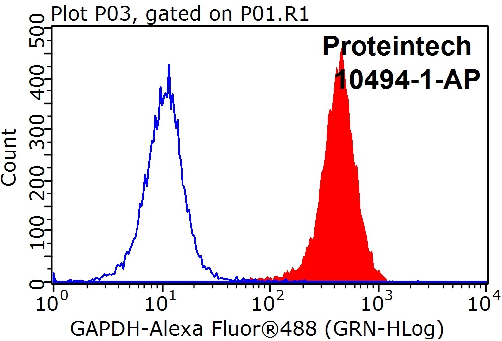 FC experiment of HEK-293 using 10494-1-AP