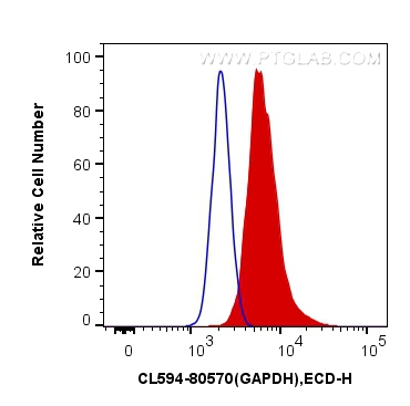 GAPDH (Human Specific)