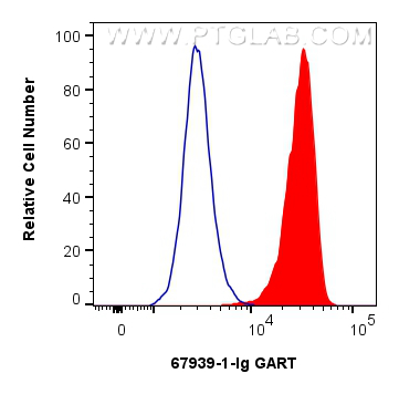 FC experiment of HeLa using 67939-1-Ig