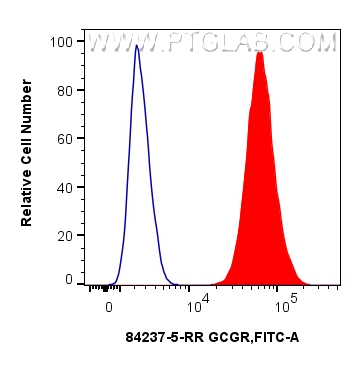 FC experiment of HepG2 using 84237-5-RR FC experiment of HepG2 using 84237-5-RR