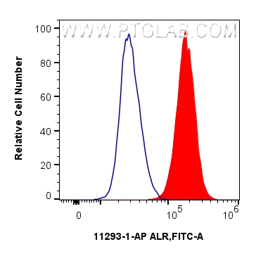 1x10^6 A431 cells were intracellularly stained with 0.25 ug ALR Polyclonal antibody (11293-1-AP) and CoraLite®488-Conjugated Goat Anti-Rabbit IgG(H+L) (<a class='green' href='/productredirect?CatalogNo=SA00013-2' target='_blank'>SA00013-2</a>)(red),  or 0.25 ug Isotype Control (blue). Cells were fixed with 4% PFA and permeabilized with Flow Cytometry Perm Buffer (<a class='green' href='/productredirect?CatalogNo=PF00017' target='_blank'>PF00017</a>). FC experiment of A431 using 11293-1-AP