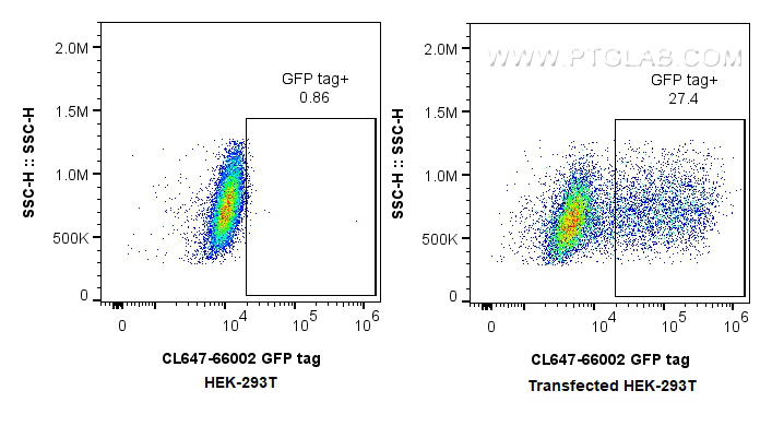FC experiment of Transfected HEK-293T using CL647-66002
