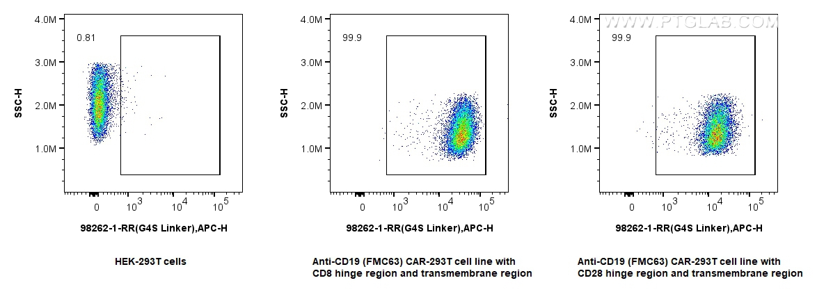 FC experiment of Transfected HEK-293T using 98262-1-RR