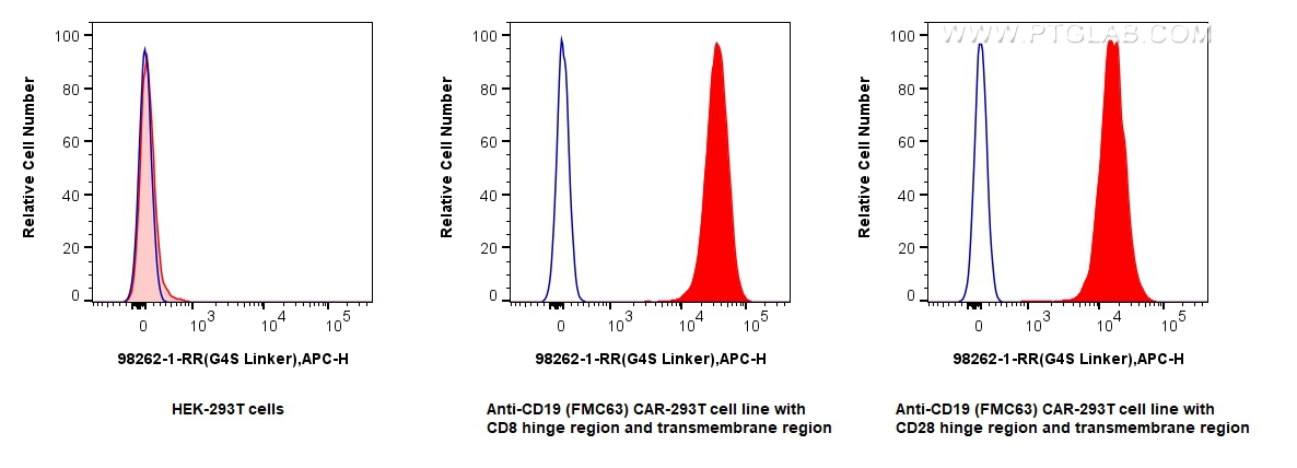 FC experiment of Transfected HEK-293T using 98262-1-RR