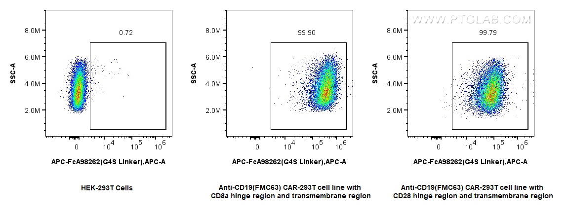 FC experiment of Transfected HEK-293T using APC-FcA98262