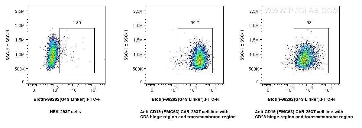 FC experiment of Transfected HEK-293T using Biotin-98262