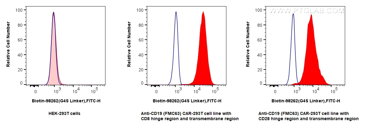FC experiment of Transfected HEK-293T using Biotin-98262