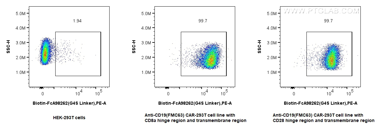 FC experiment of Transfected HEK-293T using Biotin-FcA98262
