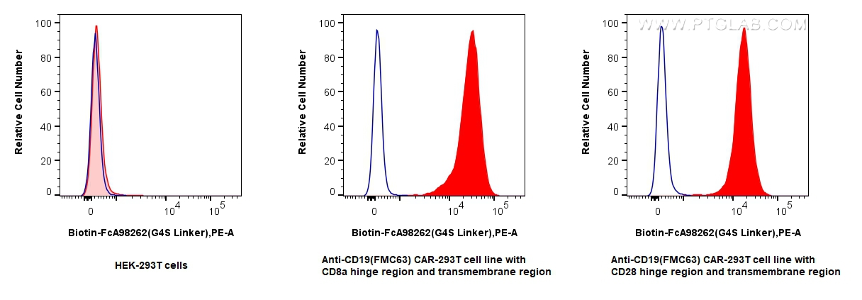 FC experiment of Transfected HEK-293T using Biotin-FcA98262