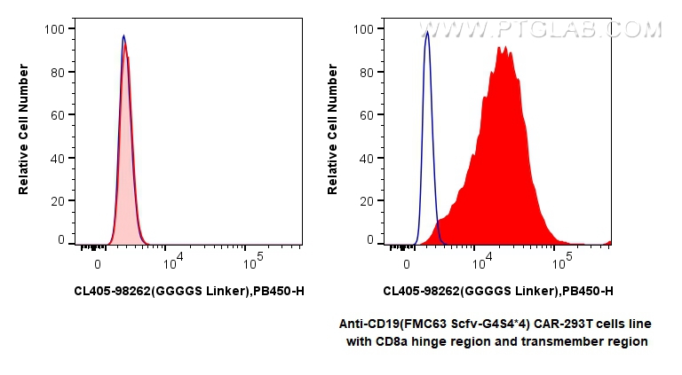 FC experiment of Transfected HEK-293T using CL405-98262