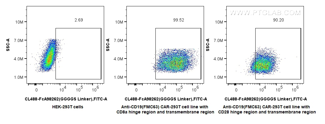 FC experiment of Transfected HEK-293T using CL488-FcA98262 FC experiment of Transfected HEK-293T using CL488-FcA98262