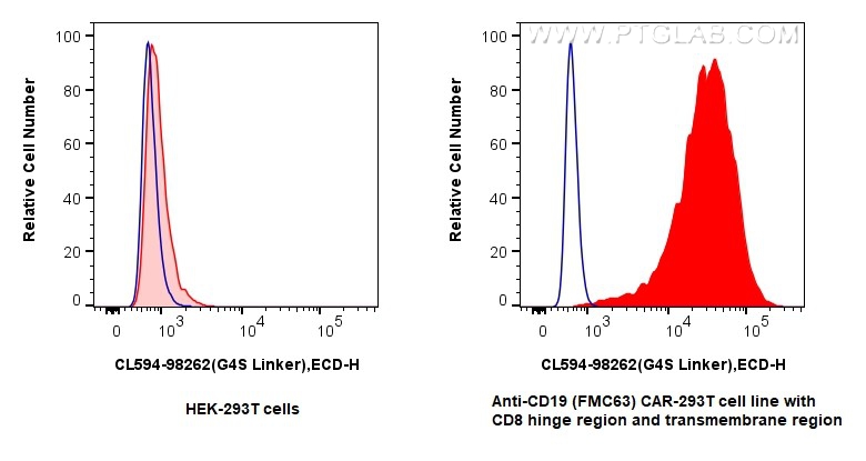 FC experiment of Transfected HEK-293T using CL594-98262
