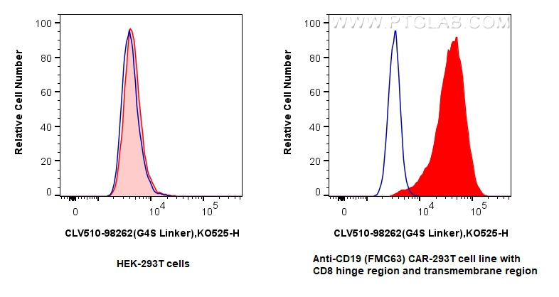 FC experiment of Transfected HEK-293T using CLV510-98262