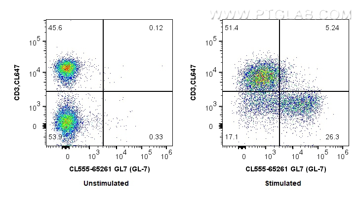 FC experiment of mouse splenocytes using CL555-65261